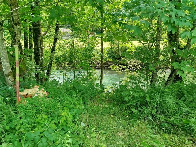 Accès à la rivière le Borne depuis le terrain arboré du chalet Tyson City