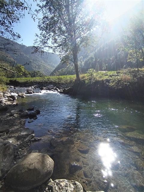 Rivière le Borne ensoleillée au bord du terrain du chalet Tyson City